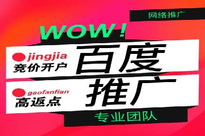 百度竞价广告的收费透明度与效果评估案例